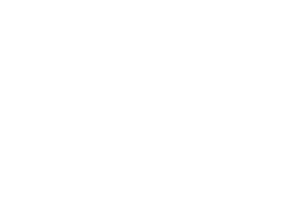 Sheild Roof